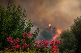 Πολύ υψηλός κίνδυνος πυρκαγιάς την Κυριακή σε Ρόδο, Κάρπαθο, Κω και Κάλυμνο
