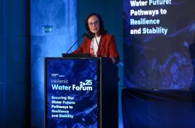 Διαμαντοπούλου: Είναι μεγάλη η ανάγκη για νέο εθνικό σχέδιο υδατικής ανθεκτικότητας