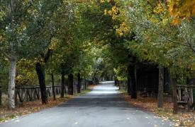 5 ελατοσκέπαστα χωριά κοντά στην Αθήνα για χριστουγεννιάτικες αποδράσεις