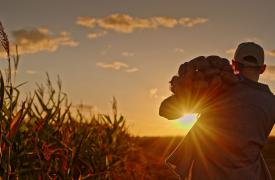 Εκμηχάνιση ή εγκατάλειψη: Το δίλημμα του αγρότη