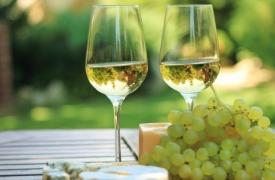 Σταθερή αύξηση εξαγωγών των οινοποιείων της ΠΑΜΘ σε Ευρώπη, Αμερική και Ασία