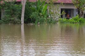 Ινδονησία: Στους 84 οι νεκροί από τις πλημμύρες