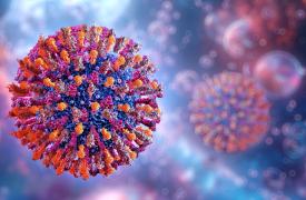 Έξαρση κρουσμάτων MERS-CoV στην αραβική χερσόνησο: Μετάδοση και στη Γαλλία μέσω ταξιδιών