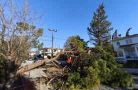 Θεσσαλονίκη: Πτώσεις δεκάδων δέντρων και πινακίδων από τους ισχυρούς ανέμους μέχρι και 8 μποφόρ