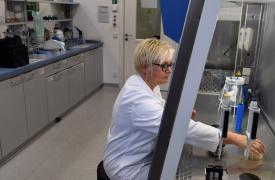 Γενετικοί έλεγχοι και αριθμός απογόνων ανά δότη - Ο κίνδυνος γενετικών παθήσεων