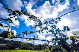 Νέο κύμα κακοκαιρίας με χιόνια στα ορεινά το Σαββατοκύριακο