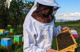 Το μέλλον της ελληνικής μελισσοκομίας στην εποχή της κλιματικής κρίσης