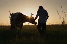 Σχέδιο Επιβίωσης - 9 προτάσεις για την επόμενη μέρα του Πρωτογενούς τομέα