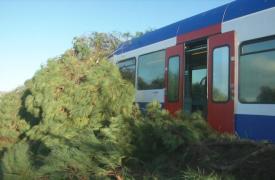 Πύργος Ηλείας: Δέντρο έπεσε σε τρένο προς Κατάκολο, τραυματίστηκε ο μηχανοδηγός