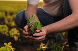 Το αγροτικό ρεύμα λειτουργεί και σαν δωρεάν μπαταρία ηλεκτρισμού - Το υπολόγισε κανείς αυτό;