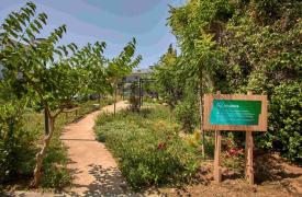 Νέο ΔΕΗ Mini Park στον Δήμου Αμαρουσίου