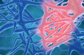 Ερευνητές ανακάλυψαν το φυσικό «φρένο» της φλεγμονής - Τι αλλάζει για πολλές χρόνιες παθήσεις