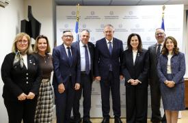 Θεοδωρικάκος: Πολύτιμο κεφάλαιο για την Ελλάδα οι βουλευτές της Διασποράς