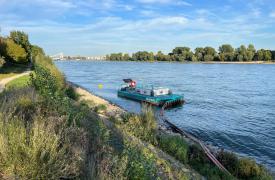 Περιβάλλον: Έως και 4.700 τόνοι απορριμμάτων εισέρχονται κάθε χρόνο στον Ρήνο