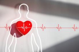 Τι επηρεάζει την υγεία της καρδιάς μας;