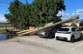 Ζημιές από τους θυελλώδεις ανέμους στη Φθιώτιδα - Χιονοπτώσεις και αλυσίδες στην Ευρυτανία