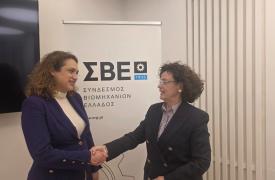 Νέα Γενική Διευθύντρια του ΣΒΕ η Βίκυ Λοΐζου