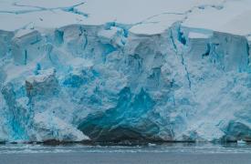 Στην Ανταρκτική η γρίπη των πτηνών - Αποδεκατίζει πληθυσμούς σπάνιων πληθυσμών, ακόμη και θηλαστικών