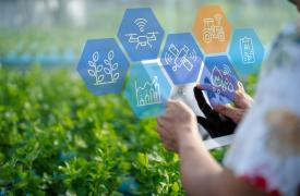 Τι μπορεί να προσφέρει το AI στον αγροτικό τομέα;