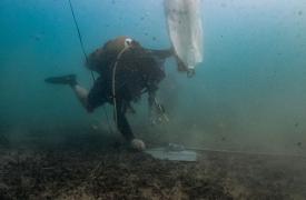 Ποσειδωνία: Το πρώτο «crash test» προστασίας στον βυθό της Αττικής