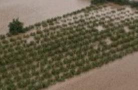 Λήμνος: Αίτημα για κήρυξη του νησιού σε κατάσταση Έκτακτης Ανάγκης - Χωρίς νερό η Μύρινα