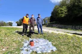Ποιοι σκοτώνουν την πανίδα στον Γράμμο και την Δαδιά του Έβρου;