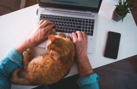 Η Gen Z κερδίζει περισσότερα χρήματα συγκριτικά με τους millennials στην ίδια ηλικία, σύμφωνα με νέα μελέτη