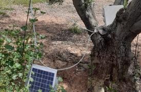 Αγουρέλαιο Χαλκιδικής: Καινοτόμo πρωτόκολλο παραγωγής «εκτοξεύει» τις δυνατότητες των ελαιοκαλλιεργητών