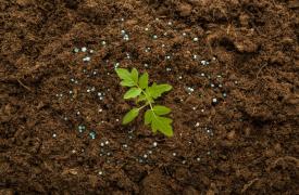 Σύνδεσμος Παραγωγών και Εμπόρων Λιπασμάτων (ΣΠΕΛ): Θετικοί οιωνοί για την καλλιεργητική περίοδο