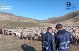 Τι γυρεύει η κα Κοβέσι στον Ευρωπαϊκό Νότο;