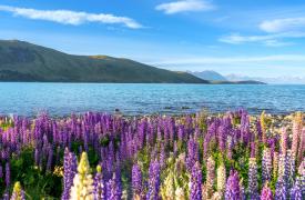 Τα 10 πιο πολύχρωμα μέρη στον κόσμο που πρέπει να επισκεφτεί κάθε λάτρης των λουλουδιών