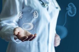 Η Ελλάδα πρωτοστατεί στην ενημέρωση για τις ουρολογικές παθήσεις στην Ευρώπη - Έρχονται δράσεις σε σχολεία, Δήμους