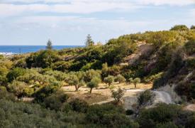 Κόμβοι καινοτομίας για την Ενίσχυση της Υγείας του Εδάφους