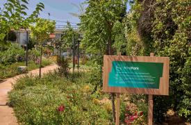 ΔΕΗ: Δημιούργησε 23 πάρκα τσέπης σε Αθήνα και Θεσσαλονίκη