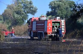 Φωτιά σε δασική έκταση στη Βοιωτία - Επιχειρούν εναέρια μέσα