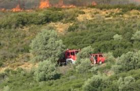 Ναύπακτος: Φωτιά στην Κάτω Μαμουλάδα