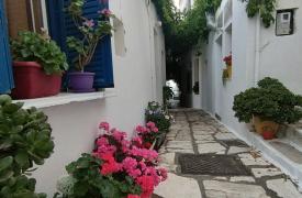 Η ορεινή Νάξος μετατρέπεται σε εθνικό παράδειγμα βιώσιμης ανάπτυξης