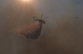 Μάχη με τις φλόγες σε 73 μέτωπα - Πύρινος όλεθρος στη Βοιωτία