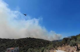 Μεγάλη πυρκαγιά στο Πλωμάρι Λέσβου - Ήχησε το 112