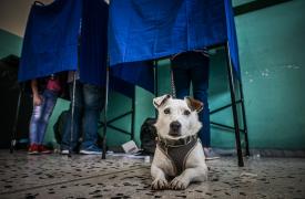 Η «μαγιά» για το γαλάζιο 30% και... το καμπανάκι - Ο μεταγραφικός πυρετός - Η επιστράτευση του Ταλεϋράνδου