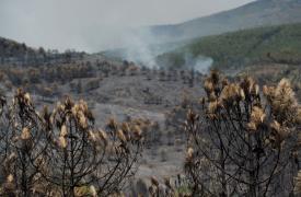 Ισπανία: Στάχτη 290.000 στρέμματα από την «πιο πολύπλοκη» πυρκαγιά στην σύγχρονη ιστορία της χώρας
