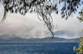 Ξεκίνησαν οι αυτοψίες στις πληγείσες περιοχές από την πυρκαγιά στο Σκάλωμα Φωκίδας