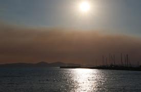 «Μην αφήνετε τα ζώα σας πίσω» - Ο Λιβάνιος στη δομή των Βιλίων - Το δείπνο της... Τεχνητής Νοημοσύνης