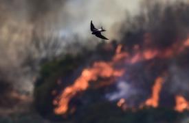 ΟΗΕ: Οι δασικές πυρκαγιές και οι καύσωνες απειλούν την ποιότητα του αέρα και την υγεία των ανθρώπων