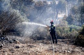 Ρέθυμνο: Ξεκινούν οι αιτήσεις για αποζημιώσεις πυρόπληκτων επιχειρήσεων - Έως 1/10