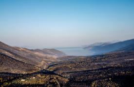 Δυτική Αττική: Τι θα γίνει με τα 113.000 καμένα στρέμματα πριν από τις πρώτες βροχές