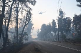 Αισθητά μικρότερη η έκταση του καμένου δάσους από τη συνολική έκταση που καταστράφηκε από την πυρκαγιά στη Σίβηρη Χαλκιδικής