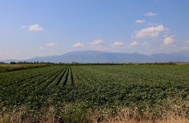 Στα 263,5 εκατ. ευρώ ο προϋπολογισμός των Σχεδίων Βελτίωσης για γεωργικές εκμεταλλεύσεις