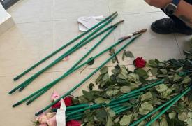 Επιχείρηση «Τα άνθη του κακού»: Κύκλωμα έκρυβε 84 κιλά κοκαΐνης μέσα σε τριαντάφυλλα
