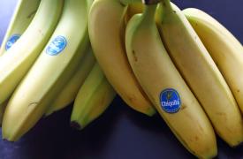 Παναμάς: Η Chiquita απολύει όλους τους απεργούς μερικώς απασχολούμενους σε φυτείες μπανάνας